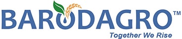 logo-min-min